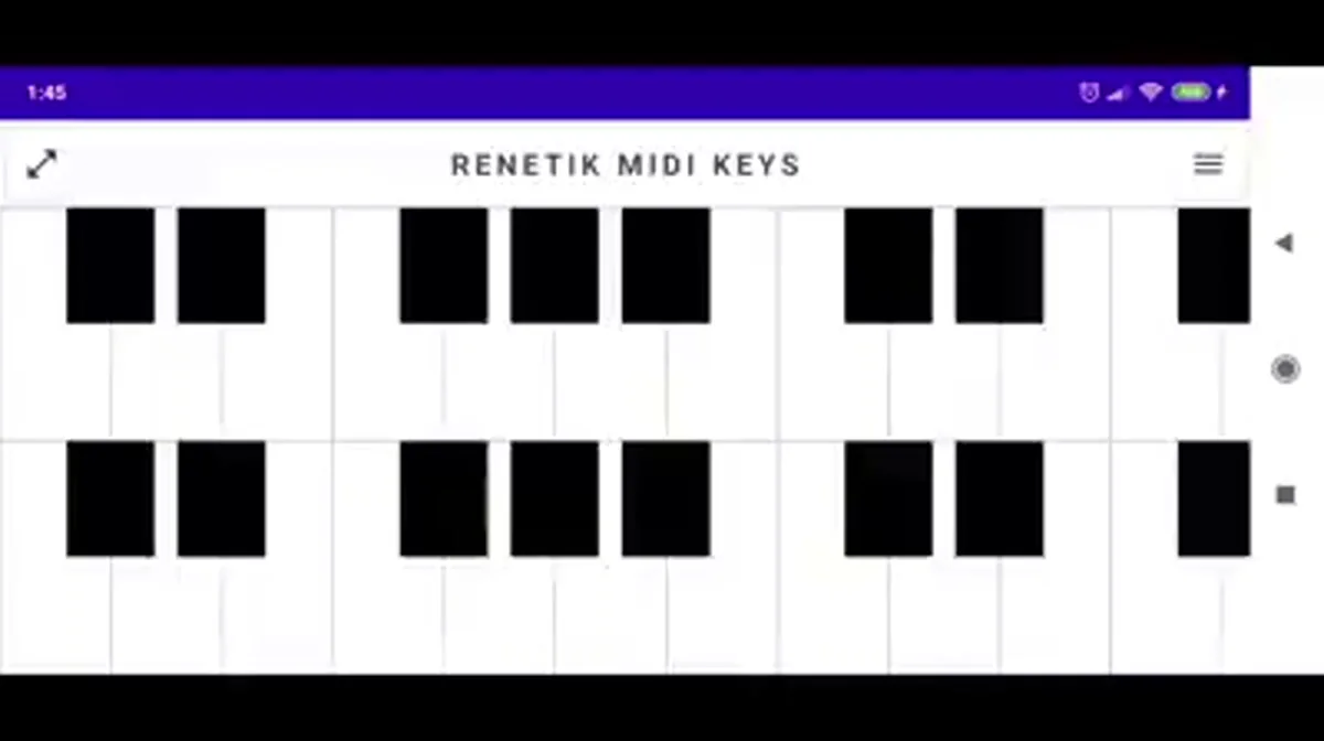 Renetik Music Apps, obrázok projektu 12